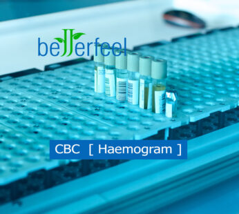 CBC   [ Haemogram ]